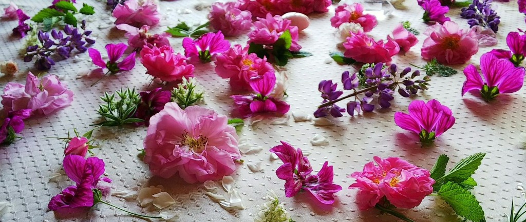 植物の力を借りて